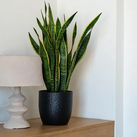 아파트 La #2 Corfu (city)