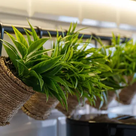 La #2 아파트 Corfu (city)